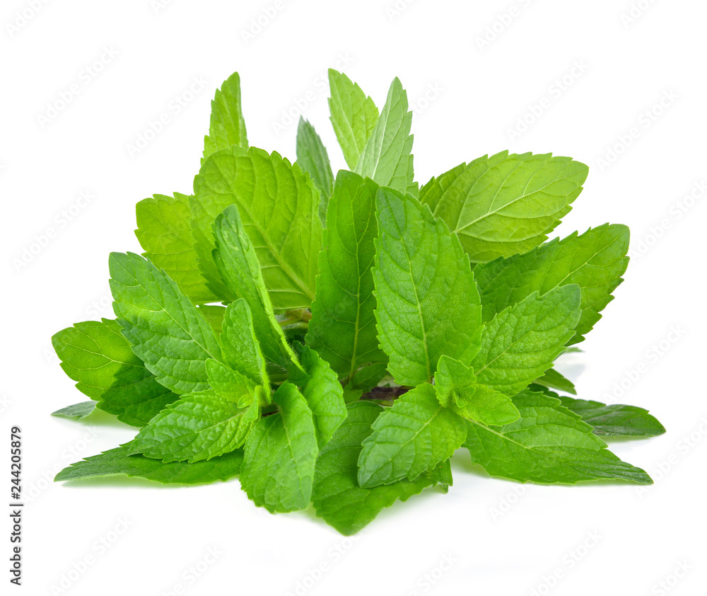 Fresh mint leafs isolated on a white background