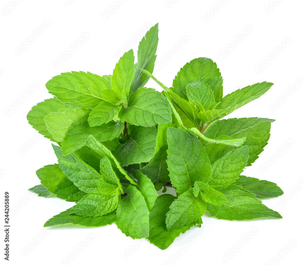 Fresh mint leafs isolated on a white background Fresh mint leafs isolated on a white background