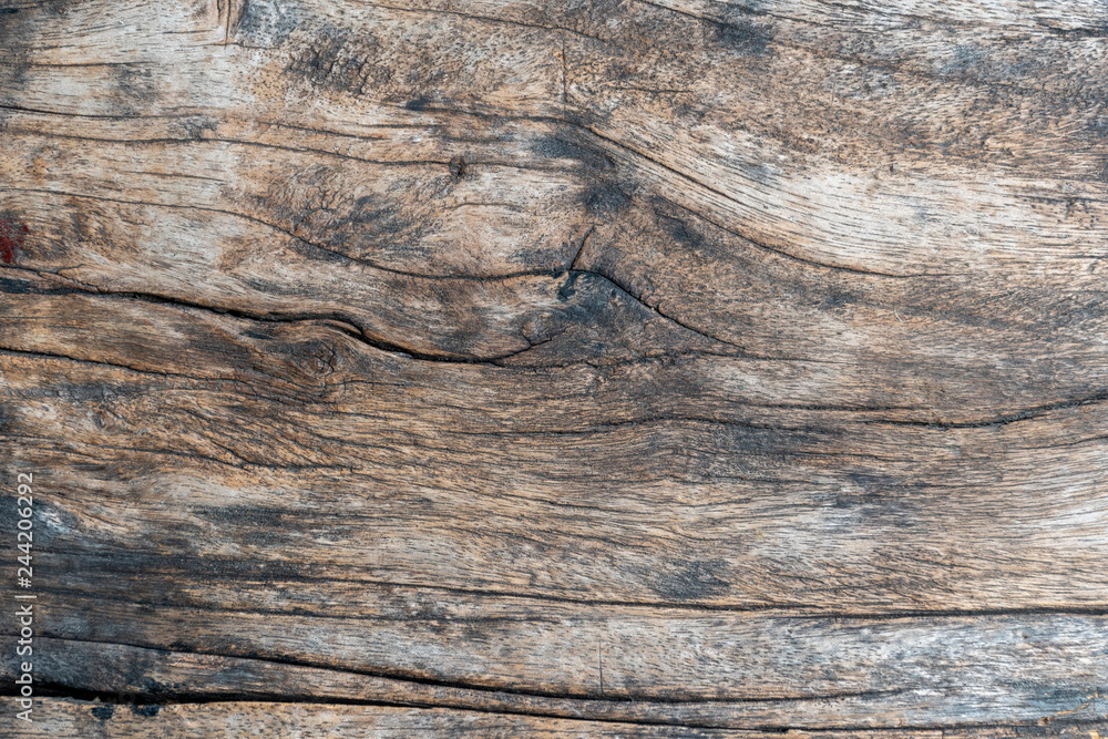 Old wood detail background. Surface eroded by time. The surface of the old Old wood detail background. Surface eroded by time. The surface of the old
