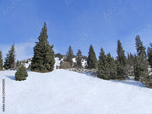 Winter mountain landscape