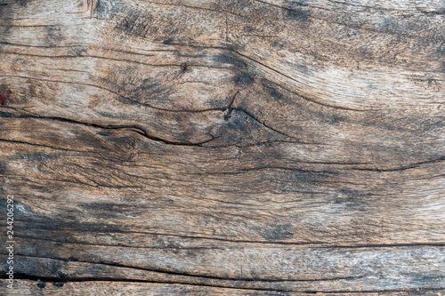 Old wood detail background. Surface eroded by time. The surface of the old