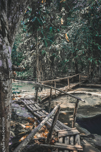 Fototapeta Naklejka Na Ścianę i Meble -  Pathway in a Jungle Nearby the Kuang Si Waterfalls in Laos