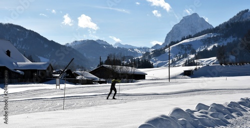 suisse alpine