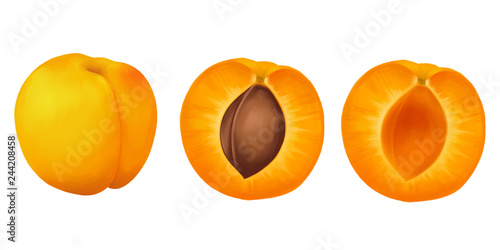 Apricot whole and sliced ​​on a white background