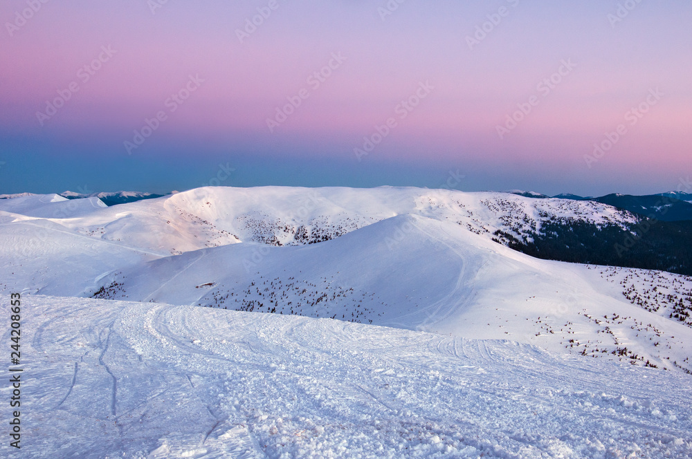 Beautiful alpine panoramic views of the snow-capped mountains. Magic pink Sunrise in the mountains in a winter frosty day. Location Carpathian national park, Ukraine, Europe. Alpine ski resort.