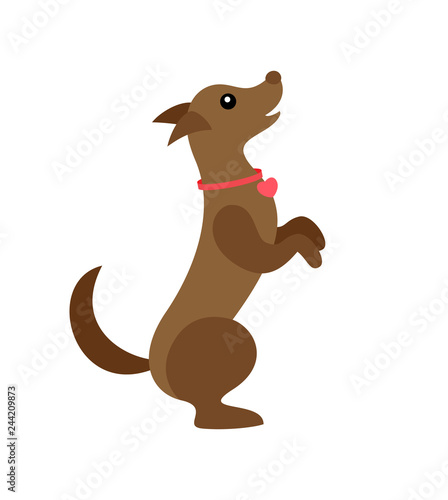 Dog Wearing Bow on Neck  Pet Canine Jumping Up