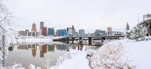 Winter Landscape of Portland Oregon