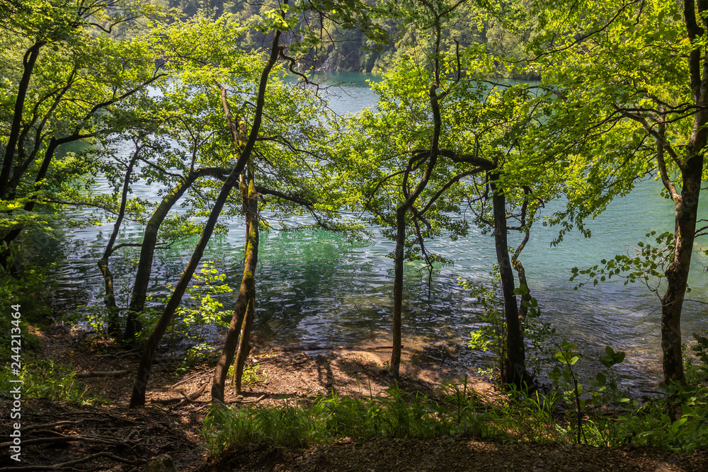 Beautiful view in Plitvice Lakes National Park. Croatia Beautiful view in Plitvice Lakes National Park. Croatia