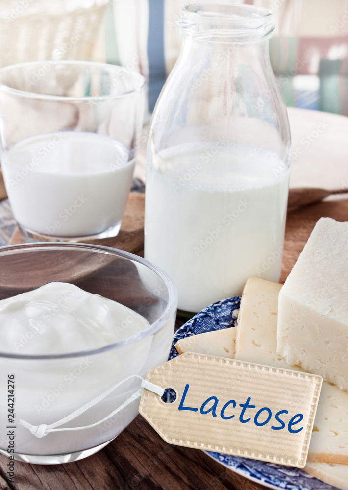 Milk products and lactose label Milk products and lactose label