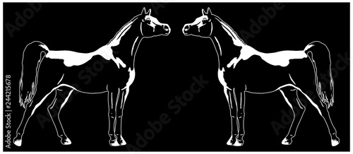Arabian horses logo, vector illustration