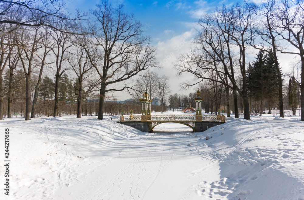 Fototapeta premium Small Chinese bridge winter day in a snowy Alexander park in Pushkin (Tsarskoye Selo), near Saint Petersburg , Russia..