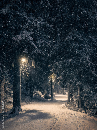 Moody landscape with snow path and light at winter evening in Finland