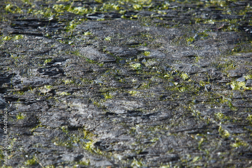 Background -Stone texture with moss - Stone Wall, Norway Background -Stone texture with moss - Stone Wall, Norway
