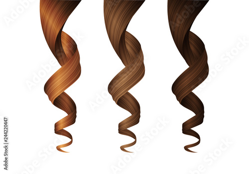 Set of Wavy Hair Curls in Various Colors. Vector Realistic 3d Illustration.