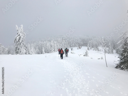 Hikers on Velebit mountain in Croatia, winter landscape