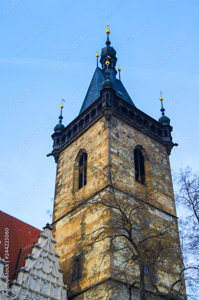 Fototapeta premium SONY DSC