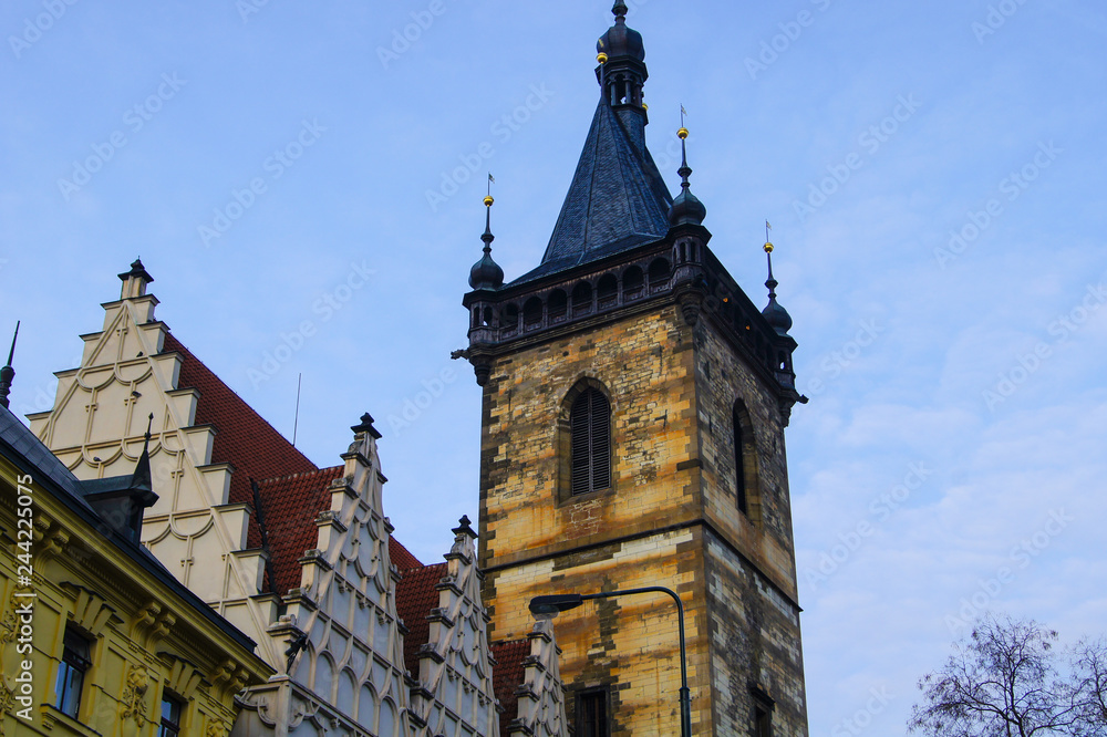 Fototapeta premium SONY DSC