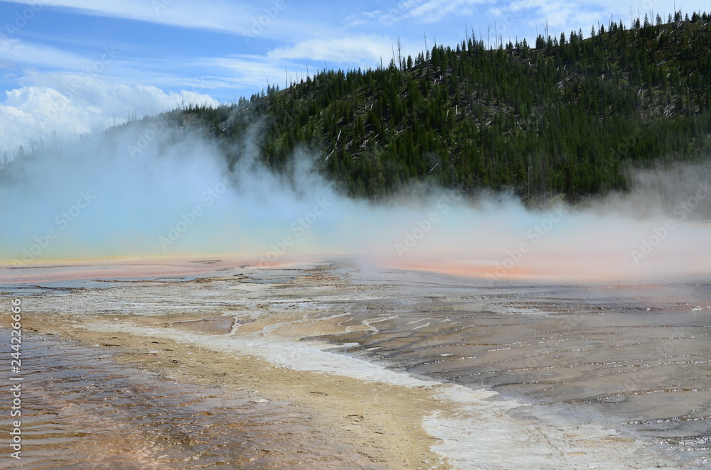 yellowstone nebbia sul geyser cromatico 