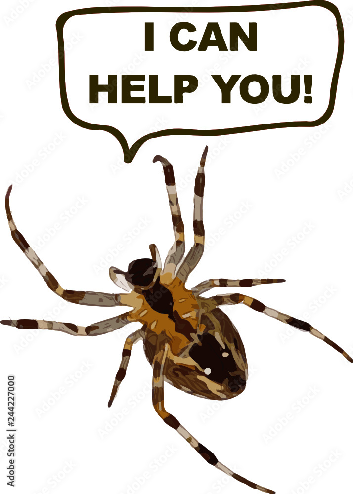 Fototapeta premium Arachnophobia - We can help you! 