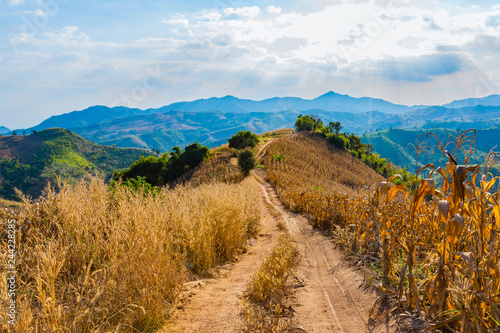 Mountain views in the area of ​​Nan Province, Thailand