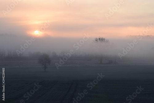 Sonnenaufgang im Morgennebel photo