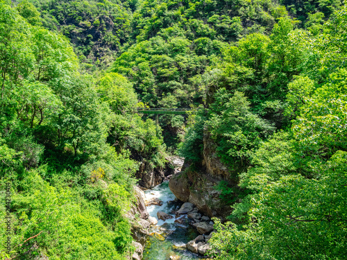 Aqueduct in Val Grande National Park