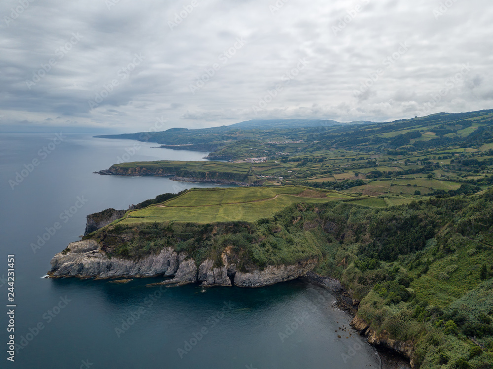 Drone view of amazing Azores landscape. Tea farm in the green fields on the north coast of San Miguel island, Azores, Portugal. Bird eye view, aerial panoramic view.