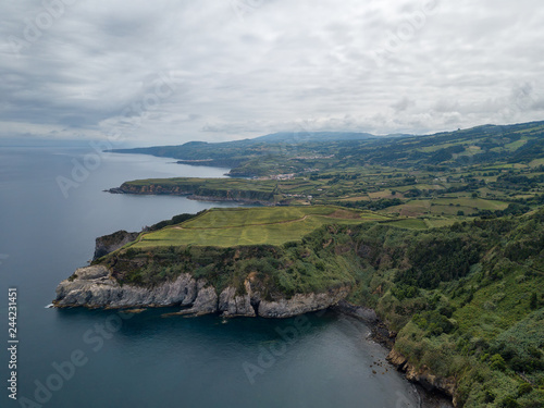 Drone view of amazing Azores landscape. Tea farm in the green fields on the north coast of San Miguel island, Azores, Portugal. Bird eye view, aerial panoramic view.