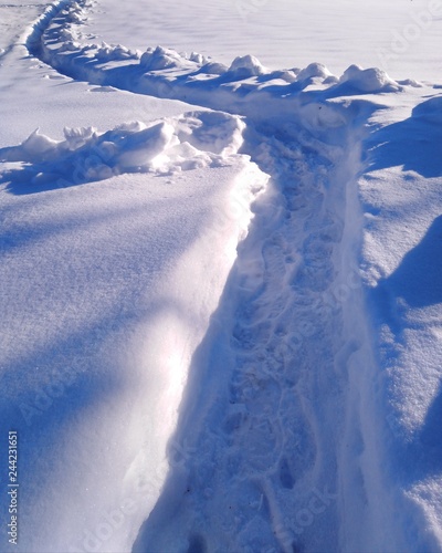 Chemin dans la neige / pathway into the snow  © JennyLL
