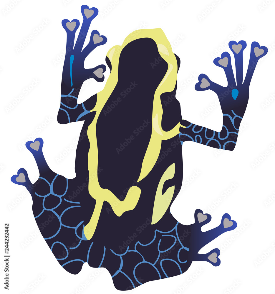 Obraz premium Vector Poison Dart Frog