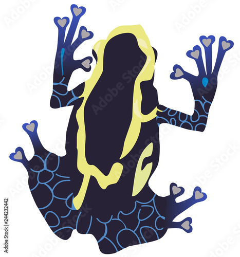 Vector Poison Dart Frog