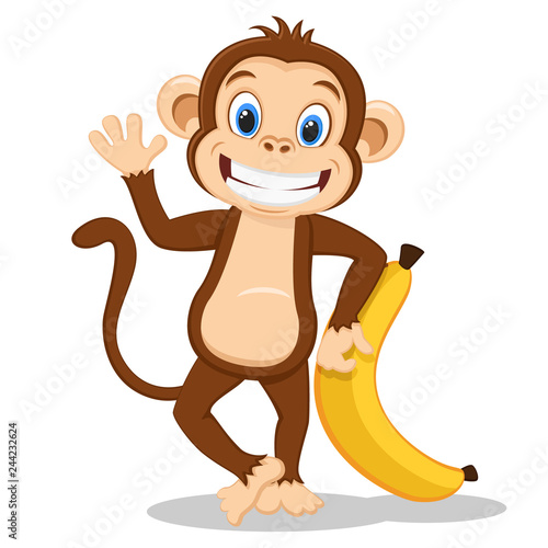 Monkey with a big banana is on a white.