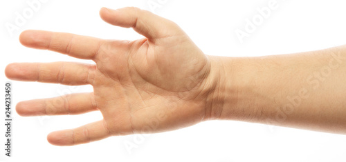 Man hand sign - empty open palm gesture, isolated on white background. Hand with five fingers.