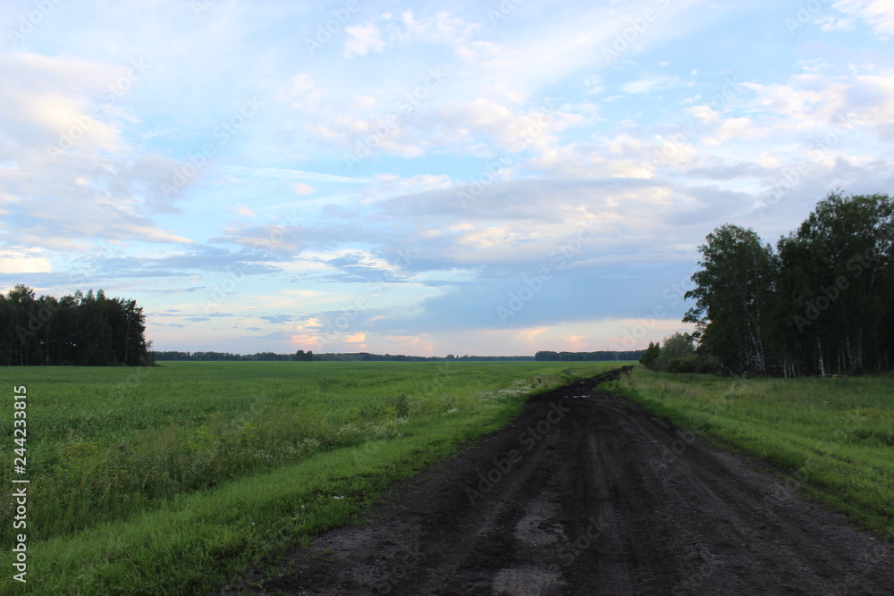 Fototapeta premium russian road