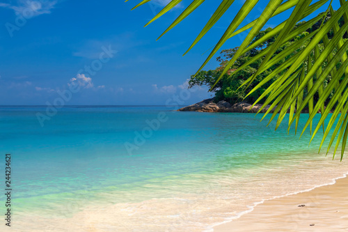 Beach on a tropical island. The concept of a beach holiday on a tropical island
