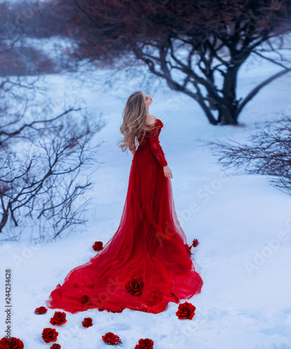 The bloody Countess Batory. girl like gorgeous flower, rosebuds fall on white and cold snow, lady with blond hair in winter forest in long, elegant, red dark dress with train with bare shoulders © kharchenkoirina