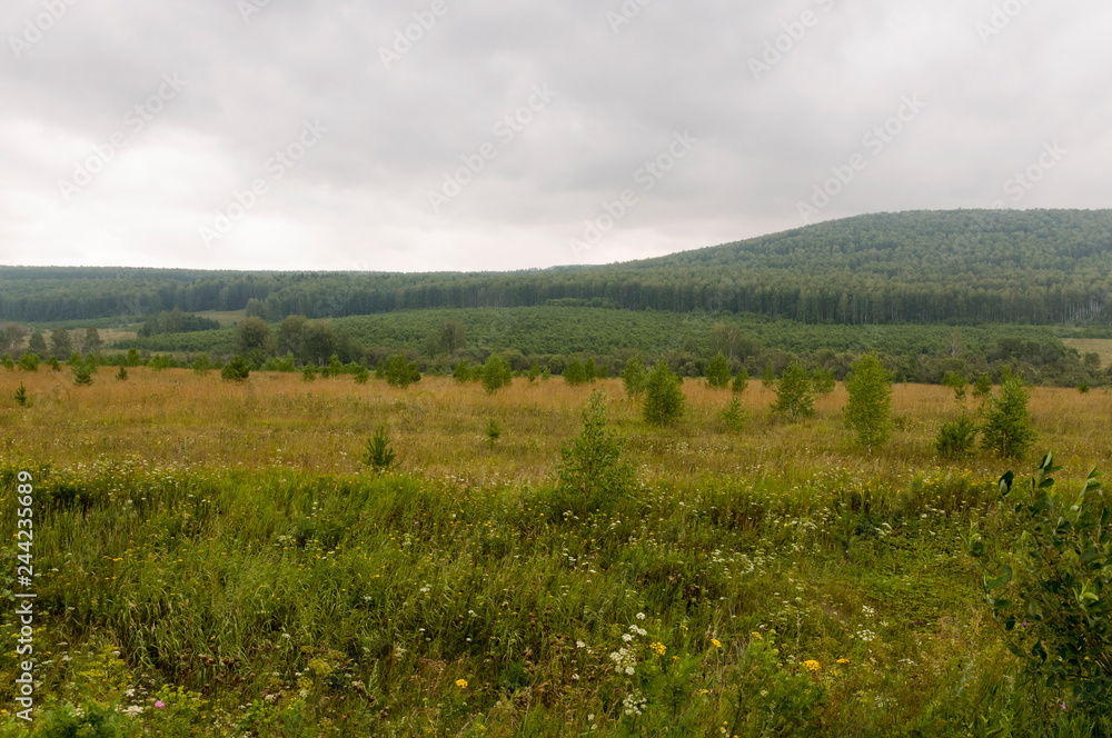 Grey sky with a lot of clouds in the early autumn sky over green fields, trees, forests and huge mountains. A lot of meadow herbs around. Day. Travel through nature landscape Grey sky with a lot of clouds in the early autumn sky over green fields, trees, forests and huge mountains. A lot of meadow herbs around. Day. Travel through nature landscape