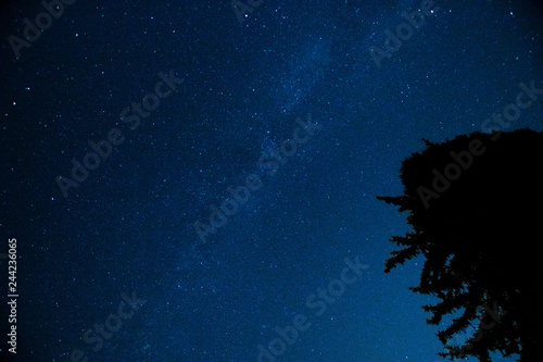 Fototapeta Naklejka Na Ścianę i Meble -  starry sky