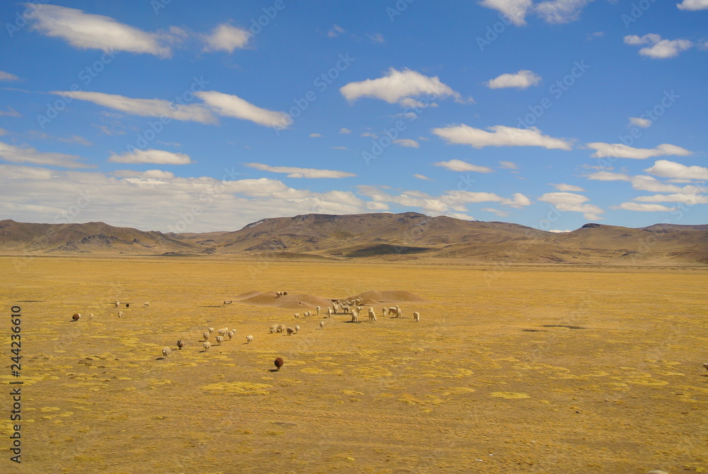 Landschaft in Peru Nähe Titicacasee Landschaft in Peru Nähe Titicacasee