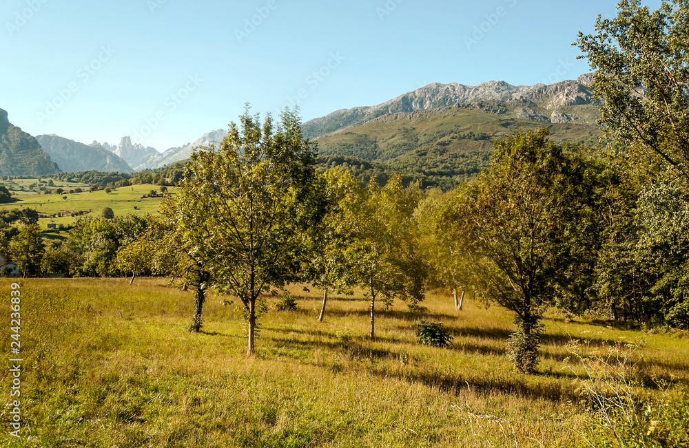 Mountains in the peaks of Europe in the north of Spain in the province of Asturias on a sunny day.