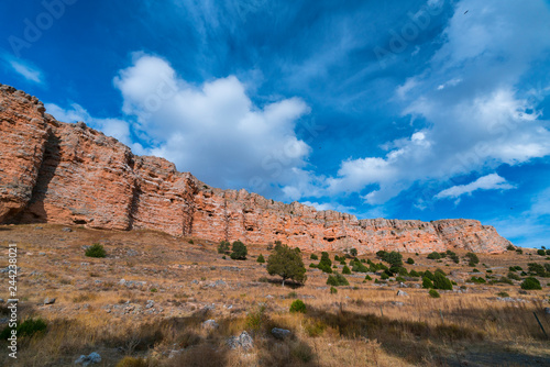 Clouds and Griffon vultures, Hoces del Río Riaza Natural Park, Río Riaza, Montejo de la Vega de la Serrezuela, Segovia, Castilla y Leon, Spain, Europe photo