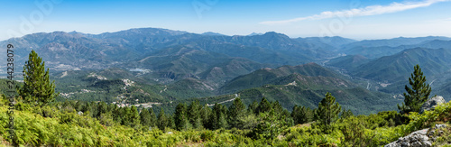 Panoramic view of the Regional Natural Park of Corsica, taken in central Corsica on the slopes of Monte Cardo looking out across Venaco and its local region with two trees framing in the foreground.