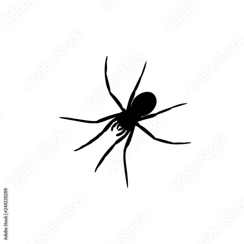 black spider vector