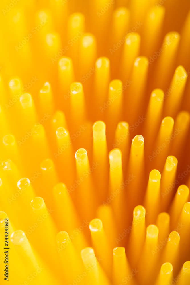 Uncooked pasta spaghetti macaroni, Top view. Uncooked pasta spaghetti macaroni, Top view.