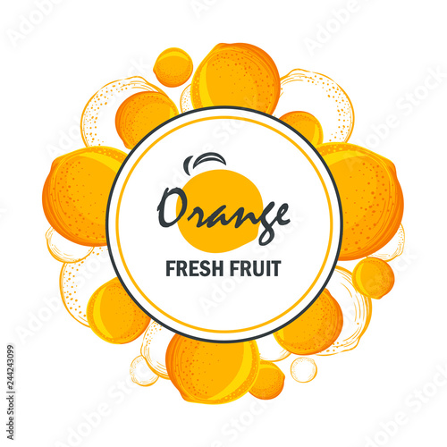 Orange vector frame, vector illustration isolated on white background, line art decorative lime frame for design cosmetic, natural medicine, herbal tea, food menu