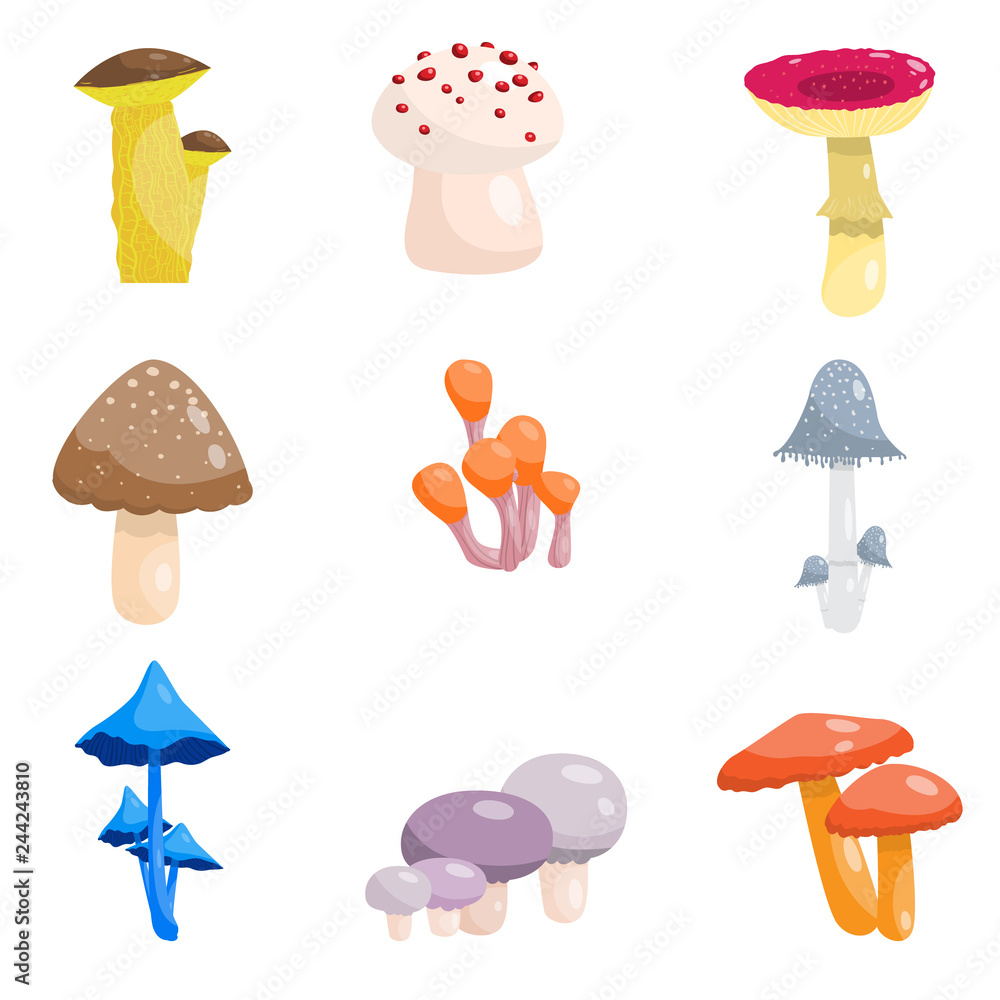 Set of different types of mushrooms poisonous and edible. Mushrooms of