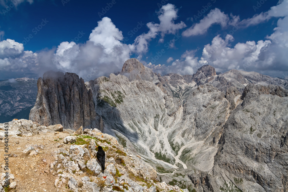 Dolomiti - Overview of Catinaccio group from Roda di Vael peak, Trentino, Italy