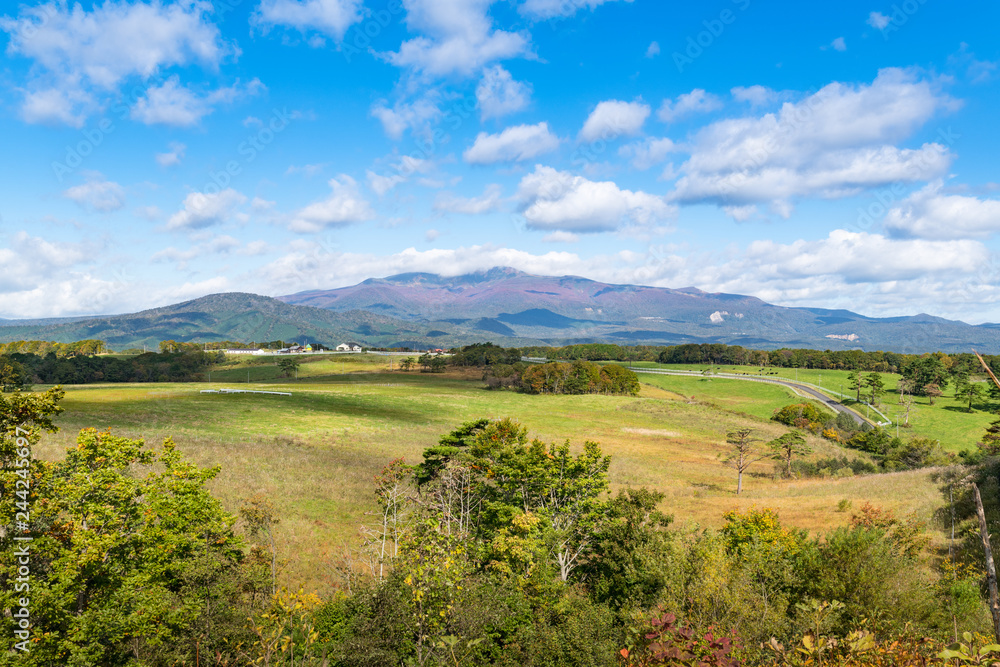 Naklejka premium 宮城紅葉の栗駒山と栗駒高原の牧場の放牧牛