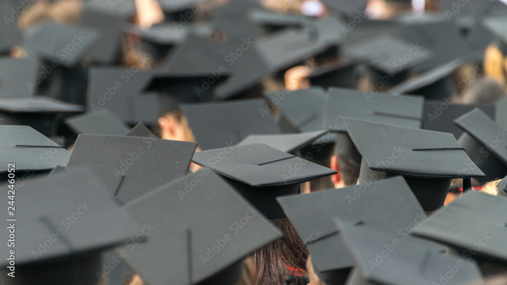 A see of graduation caps at a graduation ceremony A see of graduation caps at a graduation ceremony