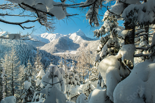 Fototapeta Naklejka Na Ścianę i Meble -  Giewont - Tatry, zima 01.2019 rok